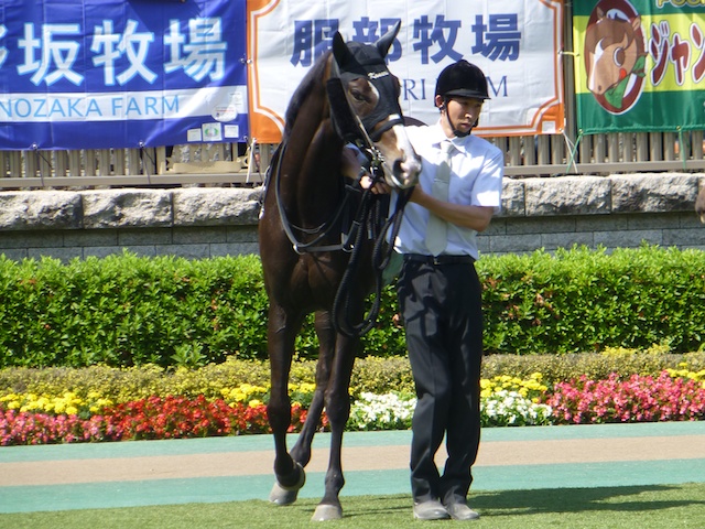 a0036685_851167.jpg
