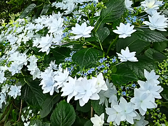 c0204188_14571733.jpg