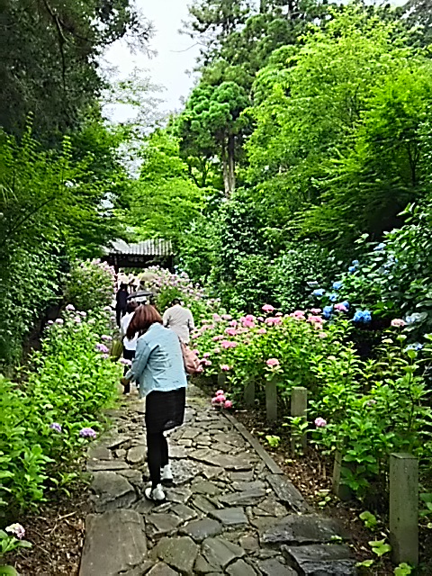 c0204188_14573541.jpg