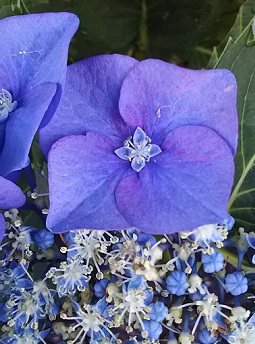 c0122791_1338243.jpg