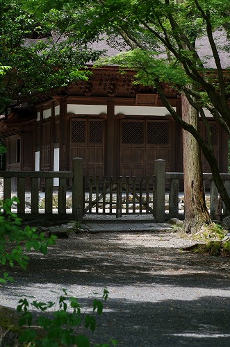 b0119493_23491756.jpg