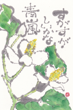 a0030594_22285253.gif