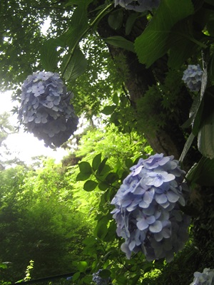 f0201297_848229.jpg