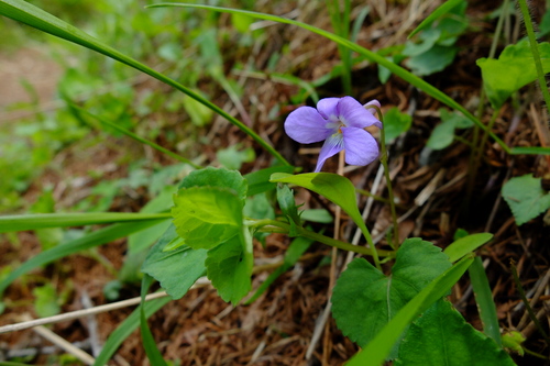 e0304001_21315739.jpg