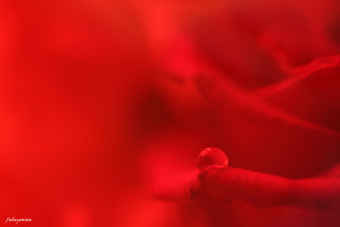 f0185802_22474494.jpg