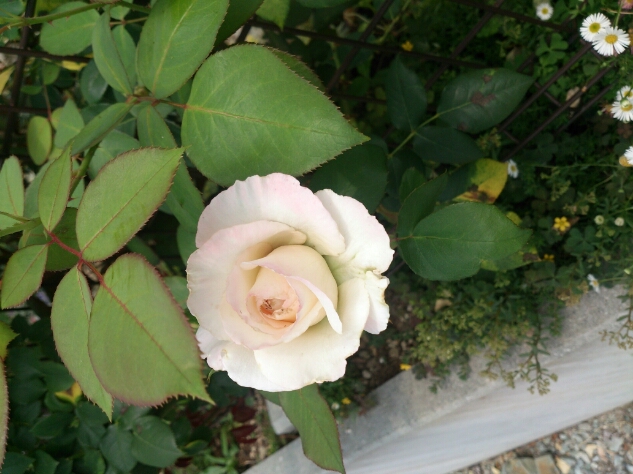 b0232804_10335062.jpg