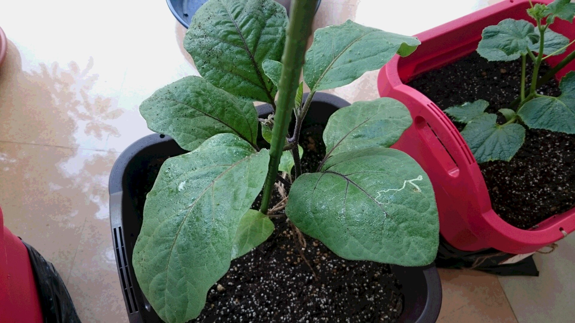 d0149105_1012651.jpg