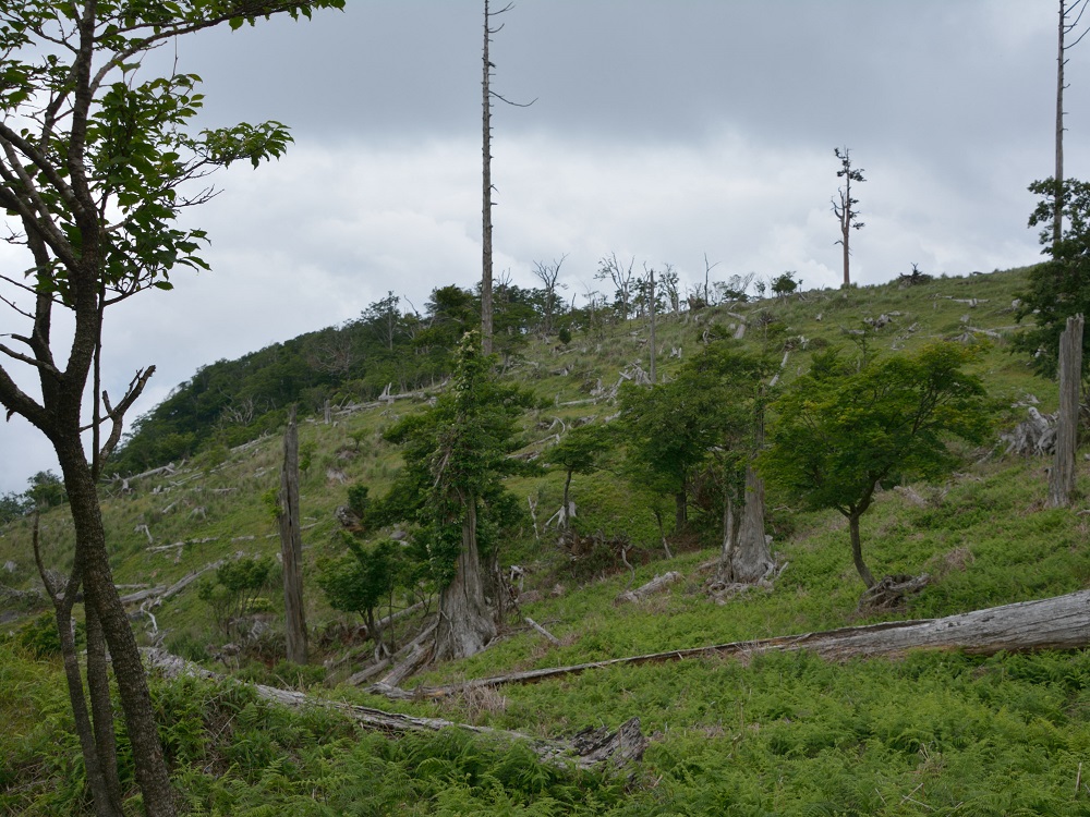 b0277008_18115432.jpg