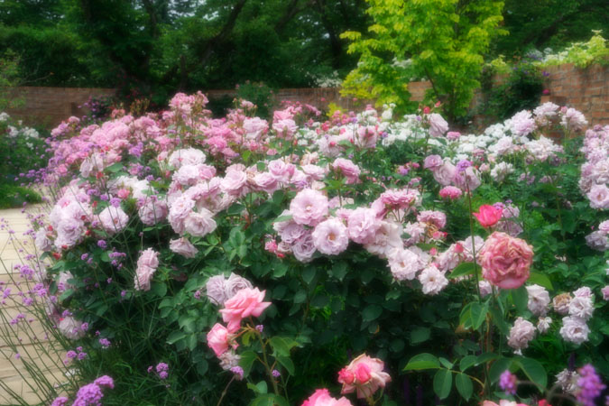 a0263109_2145293.jpg