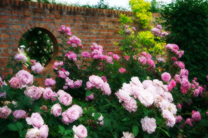 a0263109_21454958.jpg