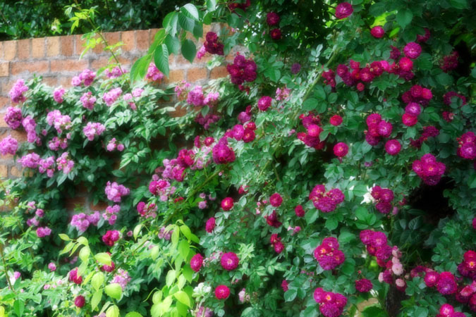 a0263109_2146112.jpg