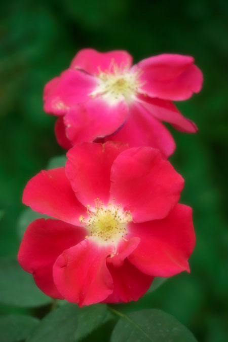 a0263109_21473083.jpg