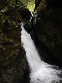 c0359615_20242871.jpg