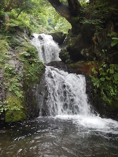 c0359615_20262281.jpg