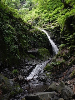 c0359615_20270730.jpg