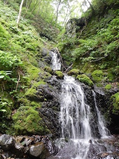 c0359615_20273792.jpg