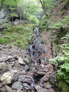 c0359615_20282232.jpg