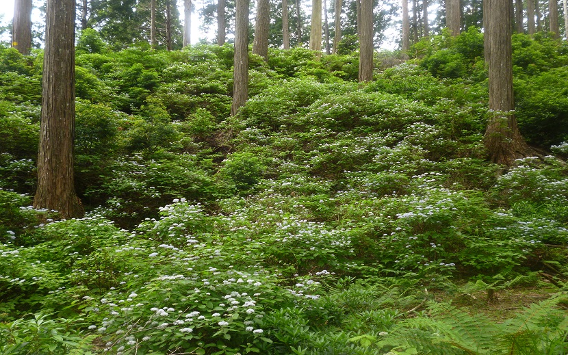 f0228619_22423279.jpg