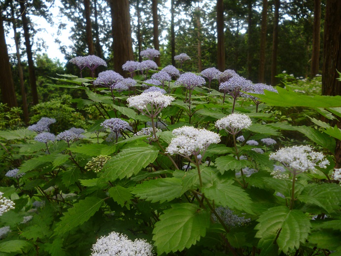 f0228619_22425038.jpg