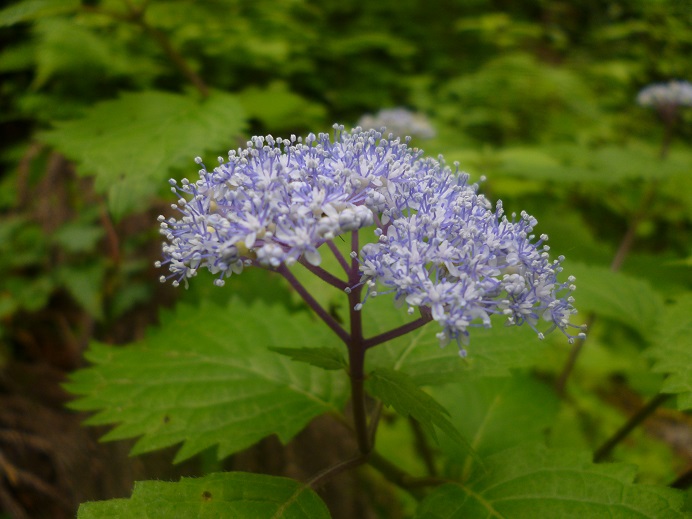 f0228619_2242826.jpg