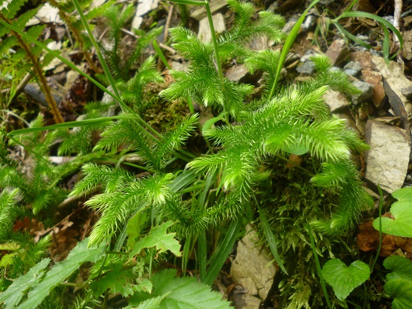 f0228619_2245578.jpg