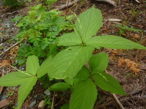 f0228619_22482124.jpg