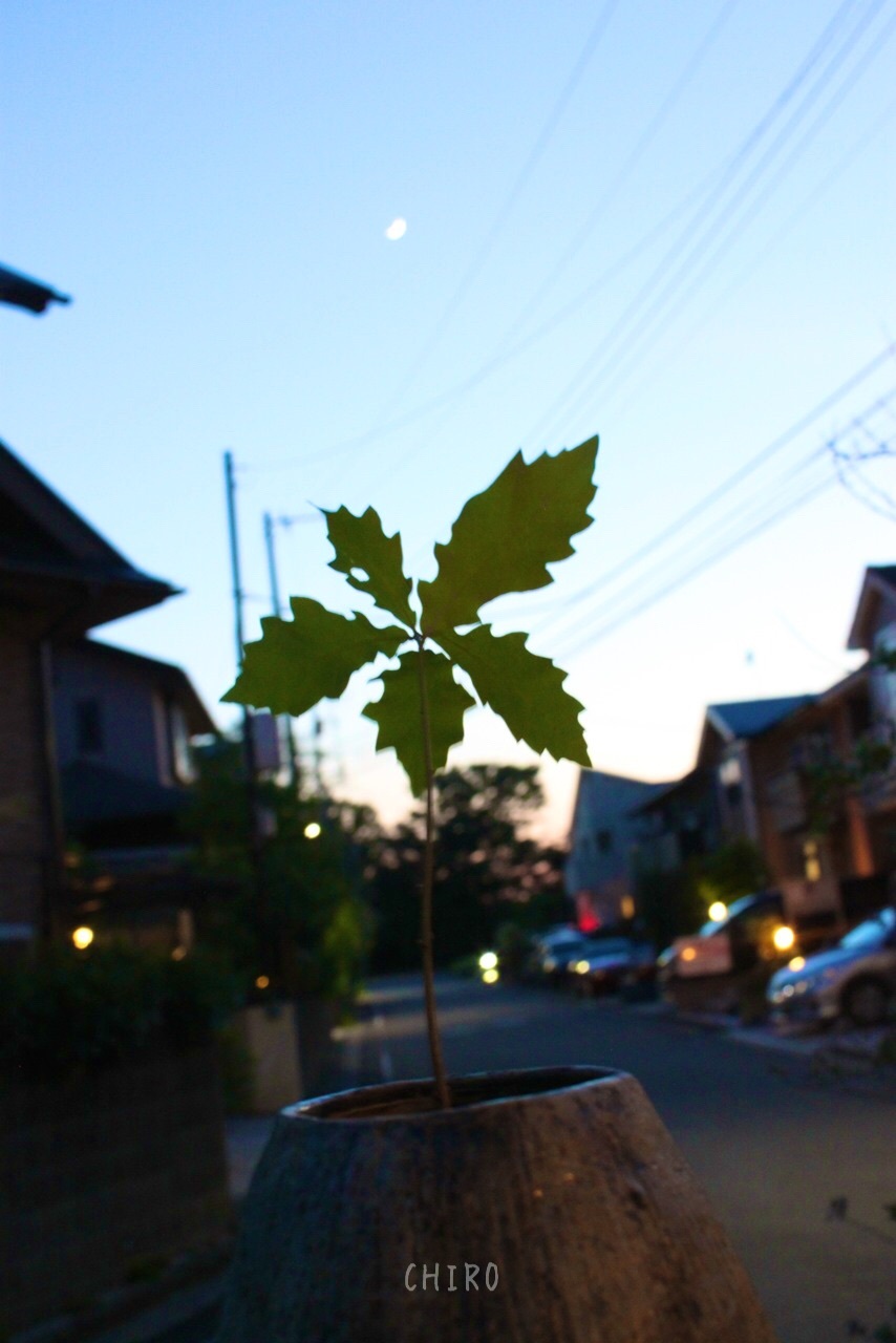 f0293522_13531498.jpg