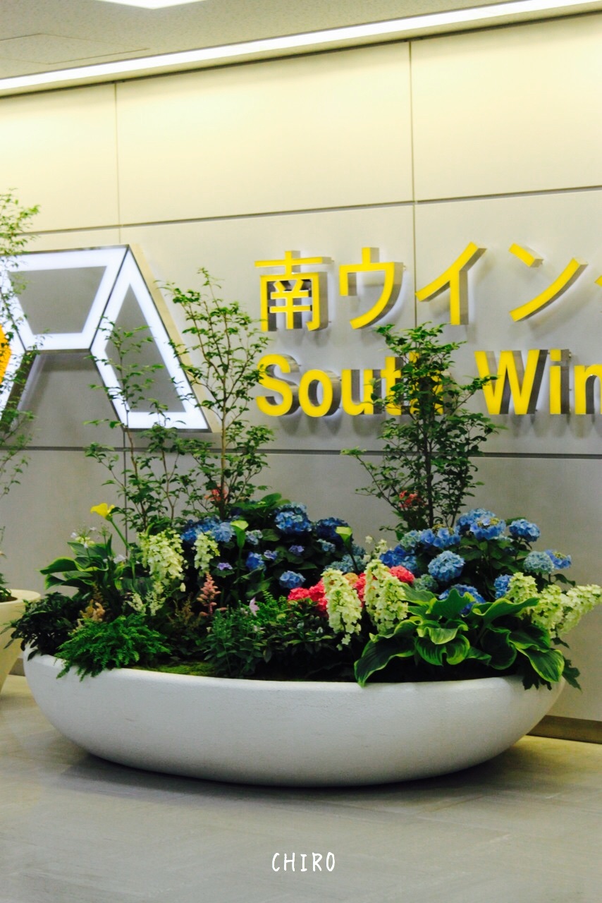 f0293522_14100116.jpg