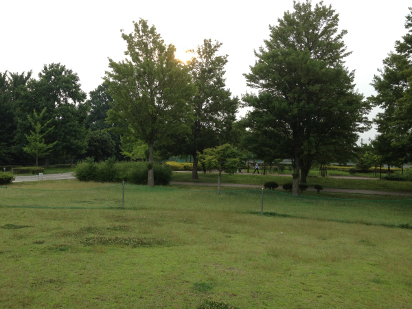 f0206425_202158.jpg