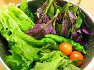f0235026_1551048.jpg