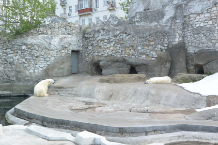 f0344626_00385086.jpg