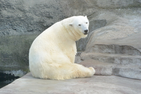 f0344626_00391440.jpg