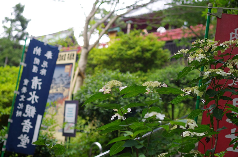 a0325232_19223328.jpg