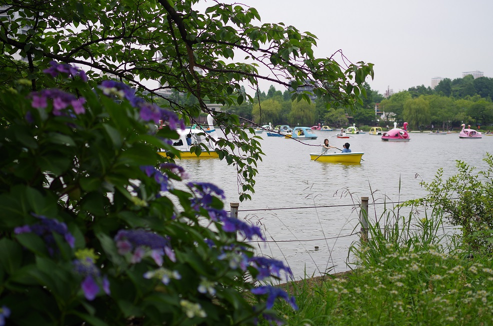 a0325232_1932995.jpg