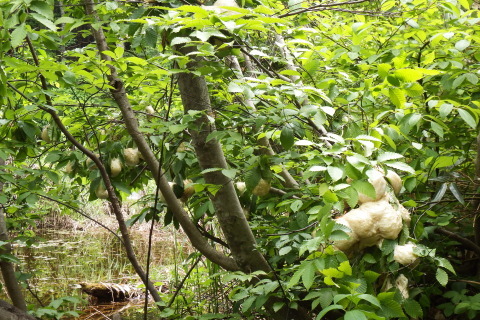 f0118332_18011261.jpg
