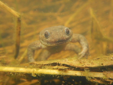 f0118332_18040274.jpg