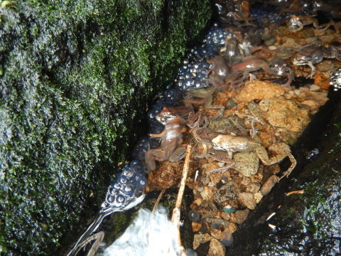 f0118332_18053915.jpg