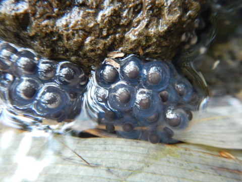 f0118332_18071205.jpg