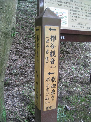 c0077338_15384834.jpg