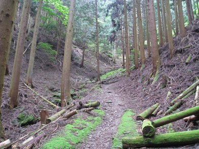 c0077338_15391210.jpg