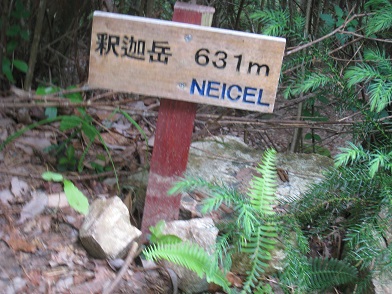 c0077338_15392963.jpg