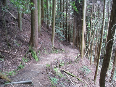 c0077338_15403348.jpg
