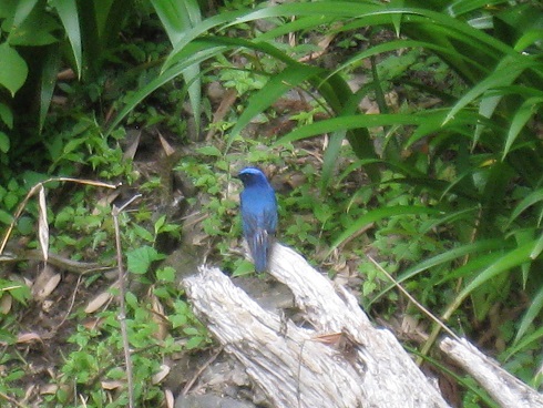 c0077338_15404279.jpg