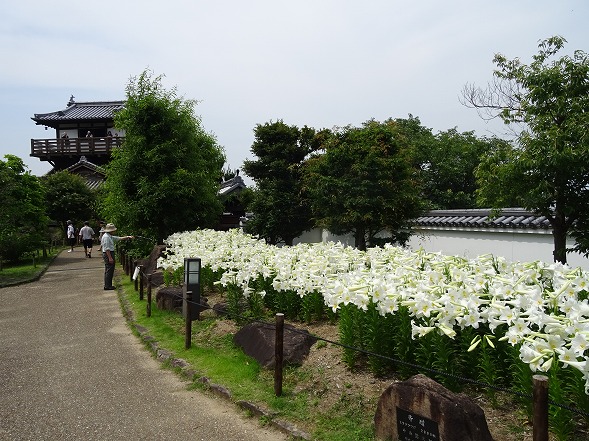 b0299042_5571987.jpg