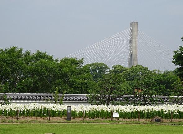 b0299042_615755.jpg