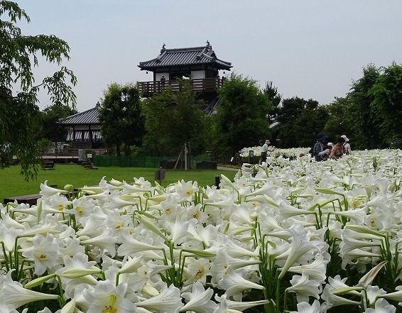 b0299042_62461.jpg
