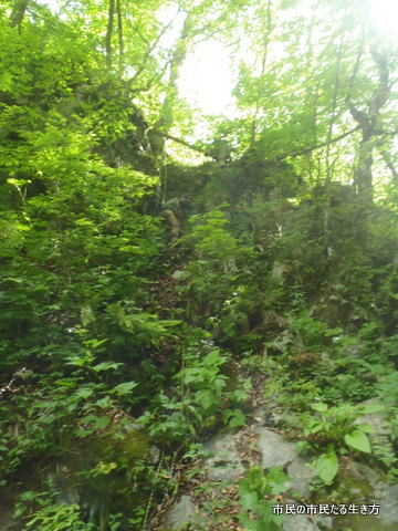 d0182245_2228871.jpg