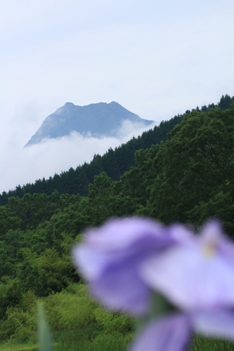 d0006047_20121333.jpg