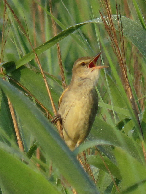 f0214649_2191692.jpg