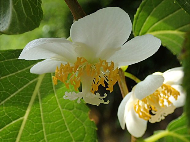 f0214649_2313626.jpg